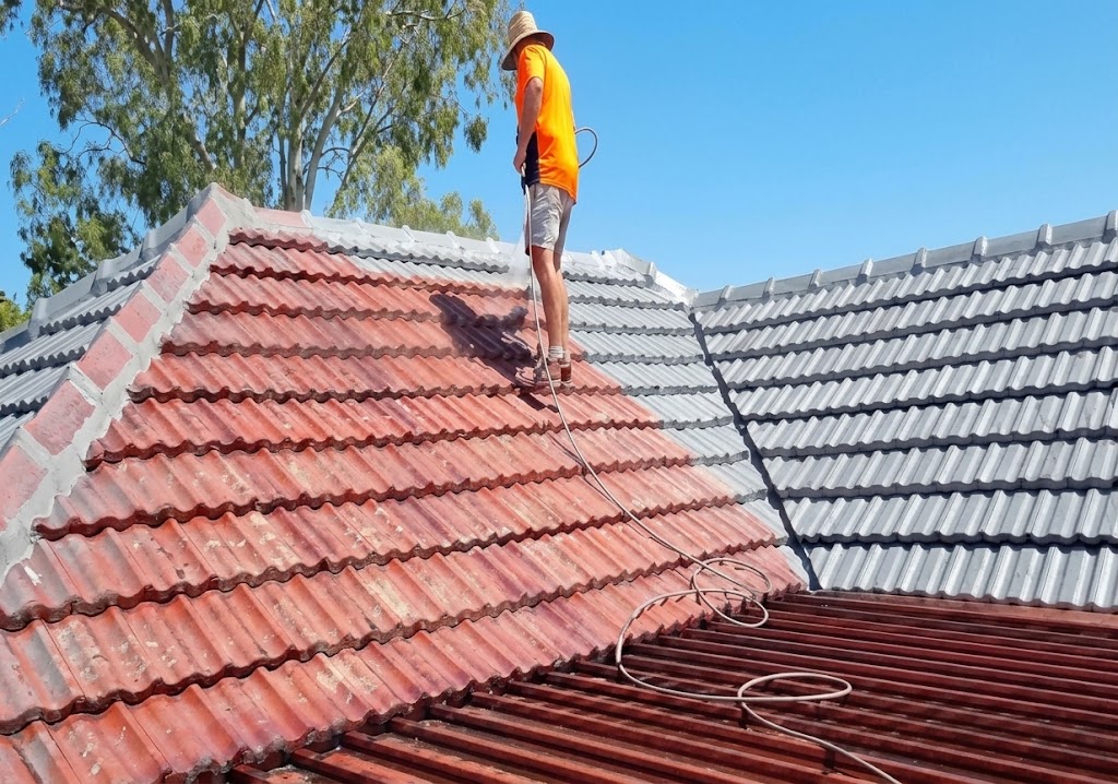Roof Painting
